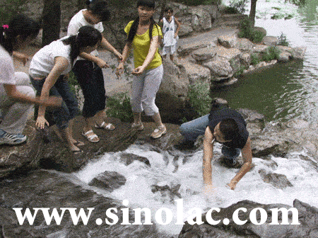 �廪��Ժ�����߿���ѵ������������������ѵ���ı�������       �粻����ʾͼƬ �����Ҽ� ����ʾͼƬ��