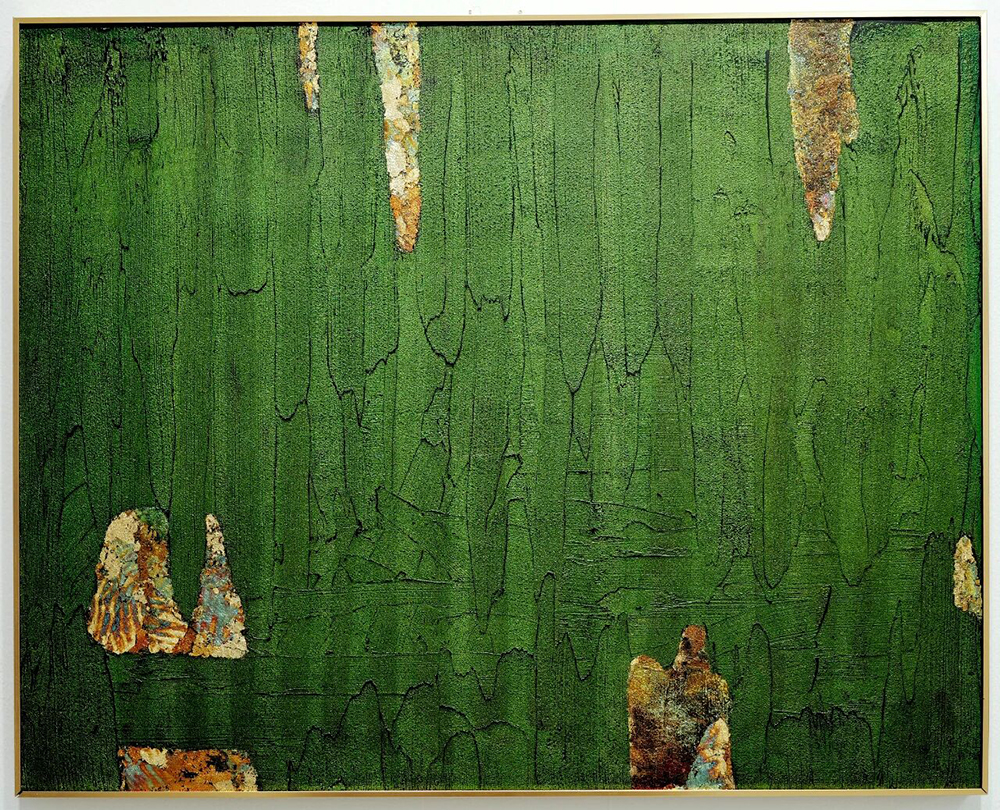 ��̩����50����-2025�ڶ�����̩